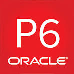 Oracle Primavera P6 User Statistics